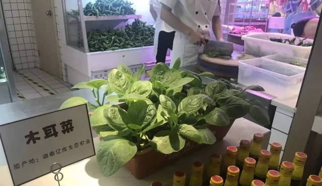  为什么要选择湘菜加盟？费大厨辣椒炒肉怎么样